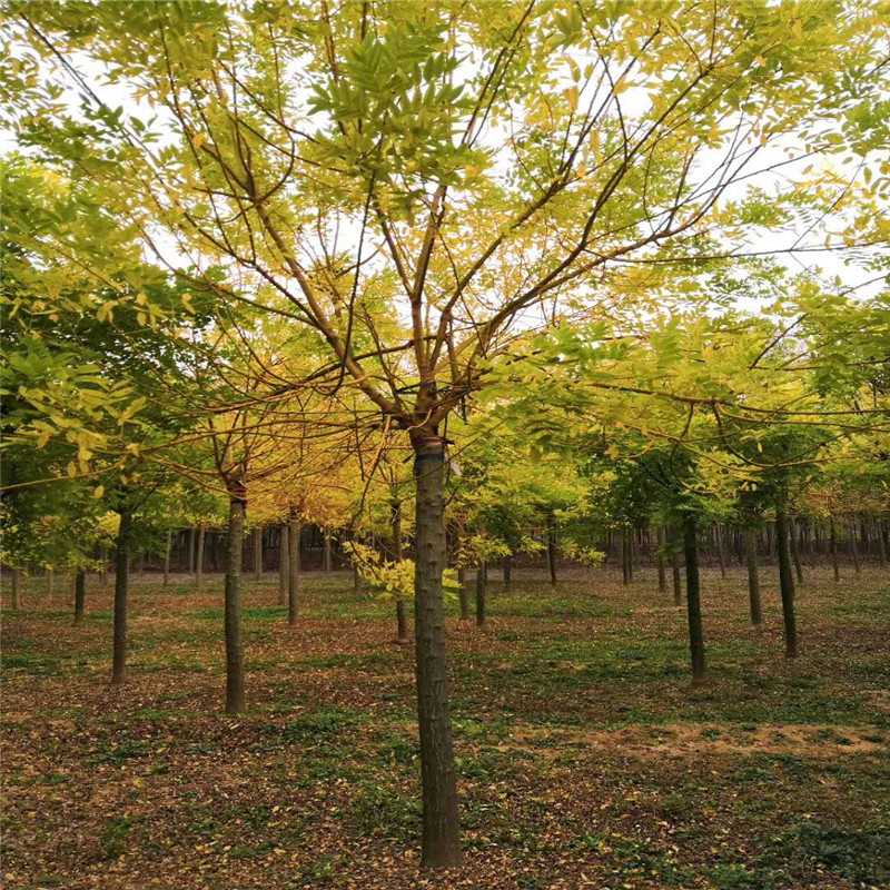 铜陵市住房和城乡建设局下属单位