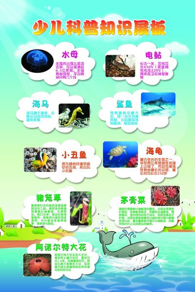 2025南山科普大会传播健康知识