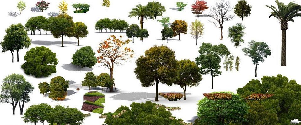 泰安市园林绿化管理服务中心：提升绿化景观 迎接登山盛会