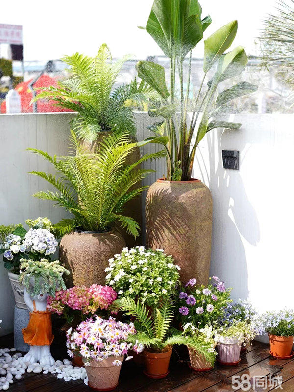 花卉租摆养护服务招标采购公告