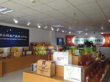 TCL在IFA 2025展示多款AI与健康创新产品 包括护眼